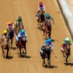 Noel’s Weekend Winners: Eying a Strong Finish on Stephen Foster Day
